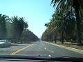 Palm drive