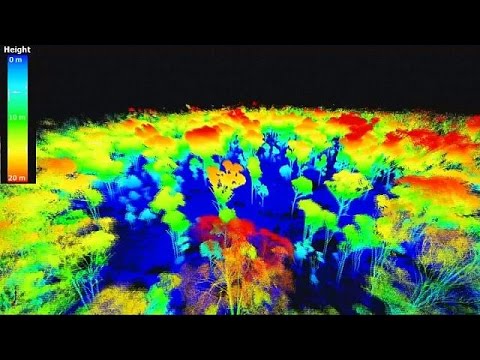 how to measure job knowledge