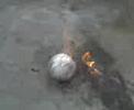 videos-estupidos-vol-x.html