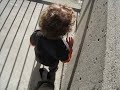 iyar playing in balcony
