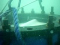 Гледай видео