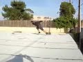 Stunt Ninja Stunt Ninja