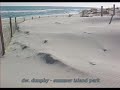 Dw. Dunphy - Summer Island Park