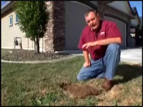 how to fertilize clay soil lawn