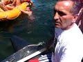 drinska regata drinska regata