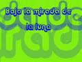 elefantes