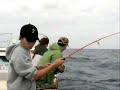 海君とシイラのバトル。第二ラウンド