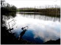 ewigheim - leiche zur see