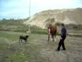 videos de rocca di neto