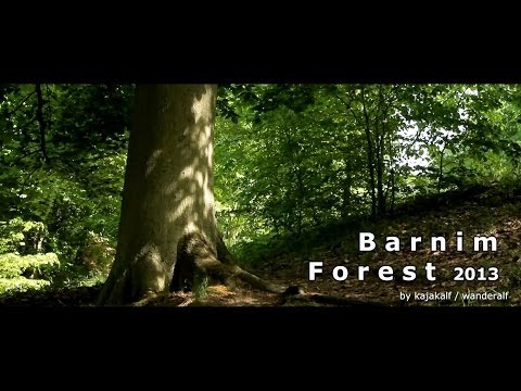 Forests - Hiking in the woods and on the Barnim Liepnitzsee along. A little highlight is the