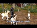 Kane Watches Addax - Demo