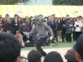 Broken Robot Nozomi's performance at Ginkgo Festa, Nov. 29th, Tokyo