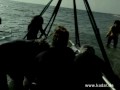 Laszlo Kadar AD to WDCS-Whale & Dolphin Conservation Society