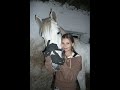 Girls and horses / Holky a kon? Girls and horses / Holky a kon?