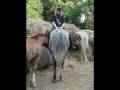 videos de Girls and horses / Holky a koně