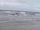 Kite surfing Stefan
