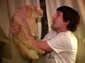 Secret Lives of Teachers - Cat Whisperer