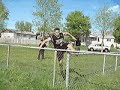 Du faux parkour... Du faux parkour...
