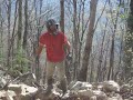 Fork Mountain at Royal Blue