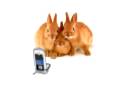 Telus Rabbit Commericial - Carrot Accident