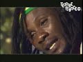 Natty King - Mr. Greedy Natty King - Mr. Greedy