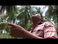 Koh Samui Thailand: Coconut Monkey