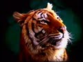 astra-promo-prosieben-1997.html