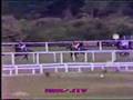 mohd yunos horse racing