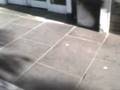 videos de 4 stair in hoek