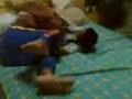 amuk amuk