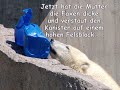 Wilbär, der kleine Eisbär und sein Lieblingsspielzeug Wilbär, der kleine Eisbär und sein Lieblingsspielzeug