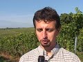 Vylyan Szőlőbirtok és Pincészet - 2006