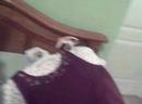 Mar 24 2007 - VID00007