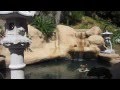 Part (10 of 10) - Koi Pond Construction - landscaping, stepping stones, adding fish 