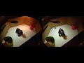 TRI/AIBO Walking Replay Split-Screen