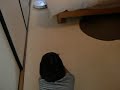 My Roomba