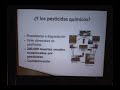 Biotecnología y crisis alimentaría E.Peralta (5/5) Biotecnología y crisis alimentaría E.Peralta (5/5)