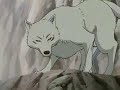 Wolf\