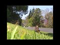 over the hill and far away over the hill and far away