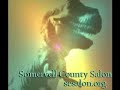 UFO Zig Zag Story from MUFON Conference