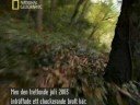 Mara Salvatrucha - World's Most Dangerous Gang Part1