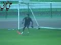 تمرين حراس المرمى - النادي العربي