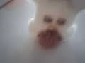 sure fire way to not kill but hurt a furby sure fire way to not kill but hurt a furby