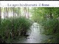 Giralafoglia - Fattoria didattica a Vicenza Giralafoglia - Fattoria didattica a Vicenza