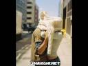 7ma2e.wmv