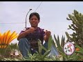 Rocky Roger y los Traviesos del Amor - tu incomprension