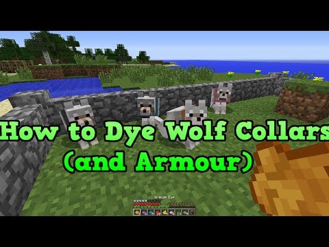 how to dye dogs collars in minecraft pe