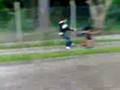 videos de utimate carniça