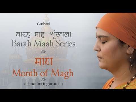 Anandmurti Gurumaa Yoga Nidra Anandmurti Gurumaa Yoga Nidra