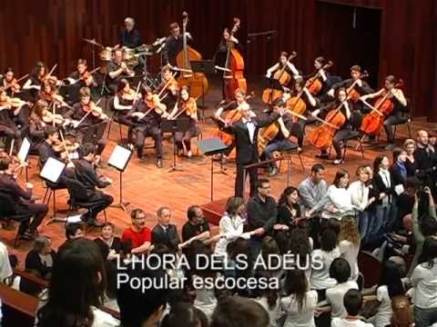 Imatge de previsualització de YouTube